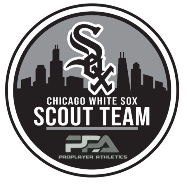 PPA Sticks Fall Player Fees